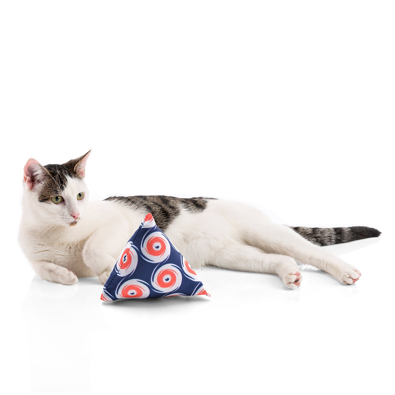 Canadian Cat Company Catnipspielzeug 6x Schmusepyramide Nordic Dot
