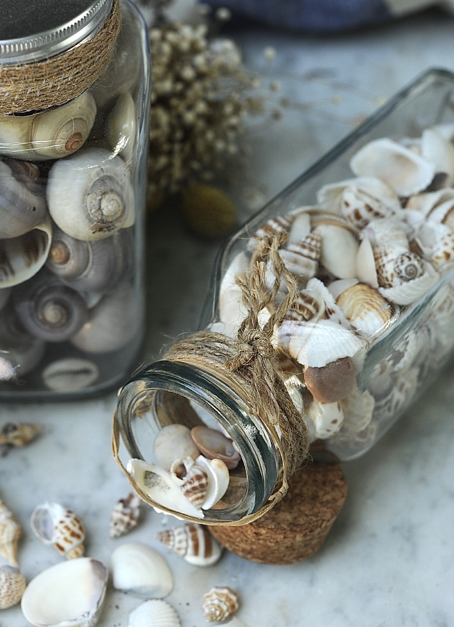 Muscheln & Schnecken im Glas, H 18 cm, B 6 cm, L 6 cm von fischer's lagerhaus