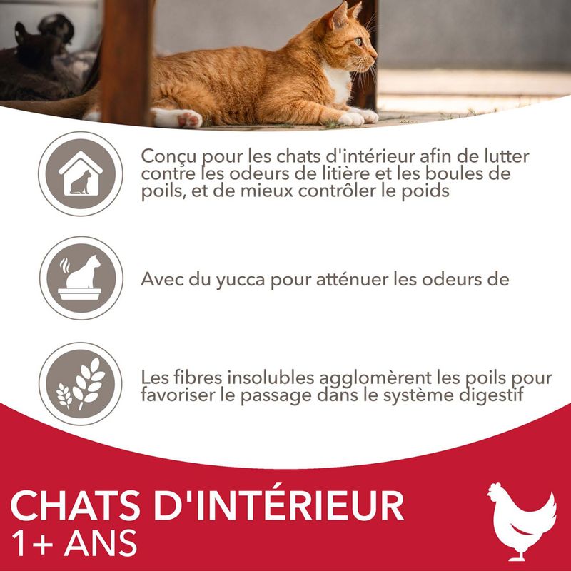 IAMS Advanced Nutrition Adult Indoor poulet