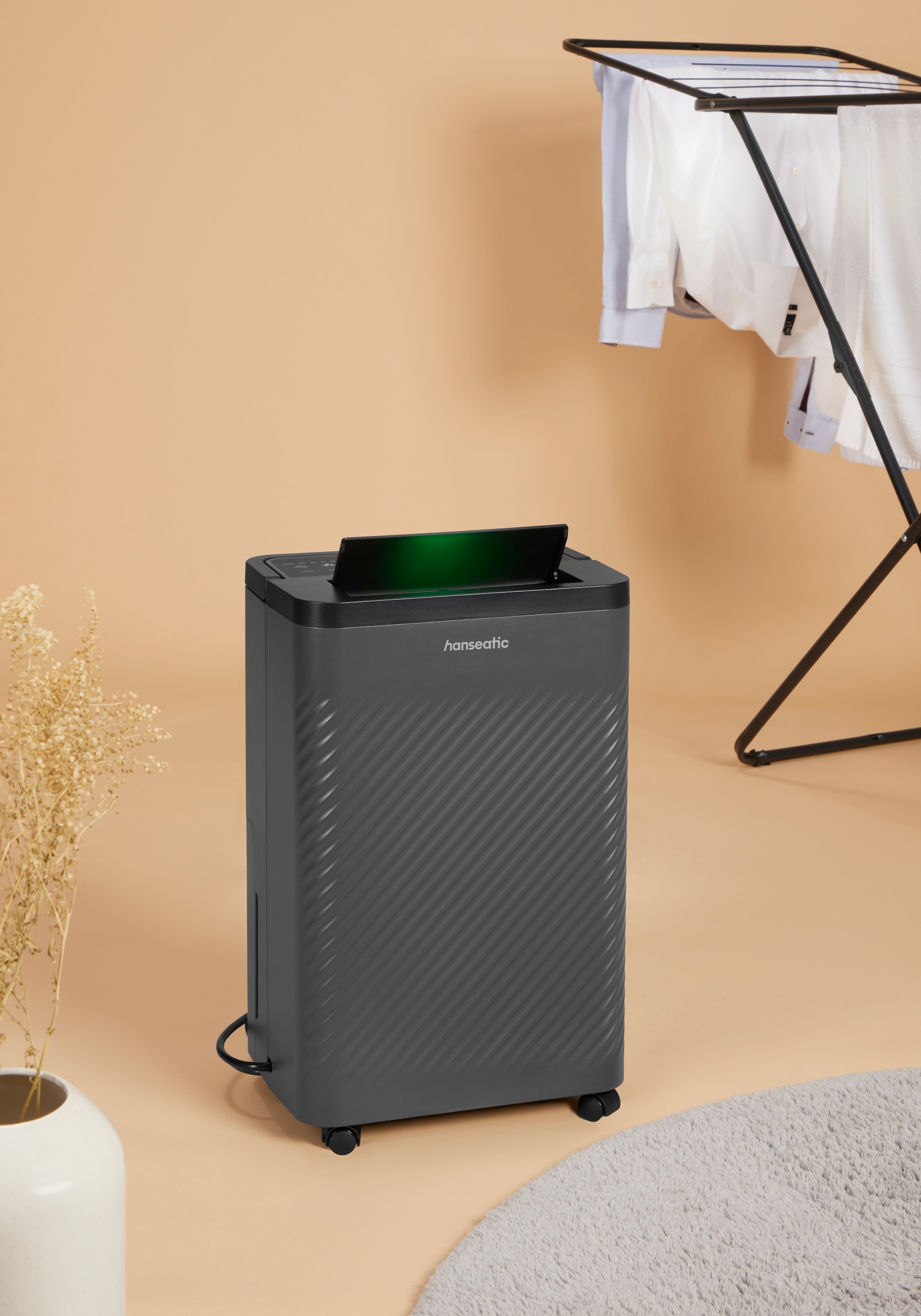Hanseatic Luftentfeuchter »Hanseatic 12L, 2in1 Entfeuchtung & Luftreinigung« Entfeuchtung 12 l/Tag Tank 3 für Räume bis 24m², 3L Wassertank