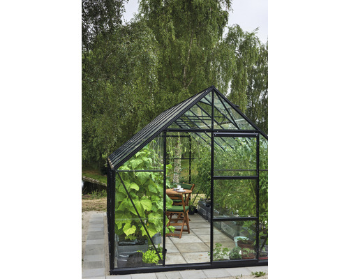 Kas Hallen Universal 128 9,9 m² Helder glas 3 mm 257 x 384 cm zwart