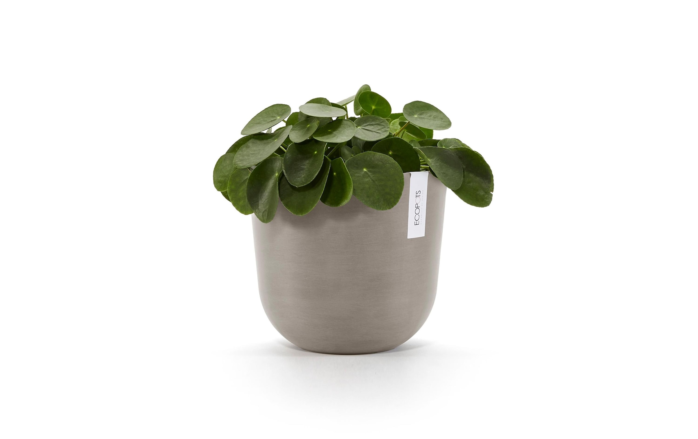 ECOPOTS Pflanzkübel »Oslo 25«