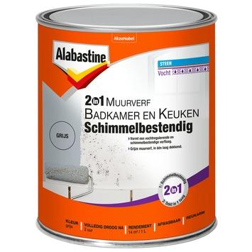 Alabastine 2in1 muurverf  badkamer & keuken grijs schimmelbestendig 1 l
