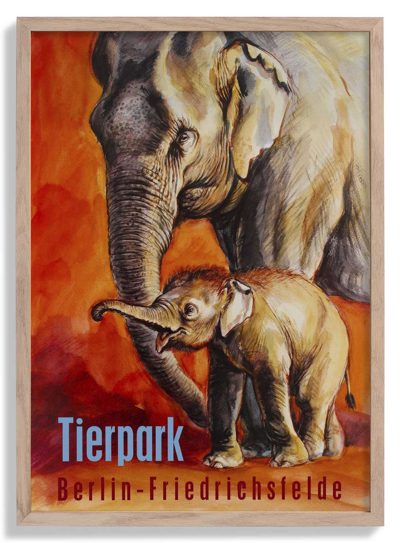 Zoo Tierpark Berlin Elefant
