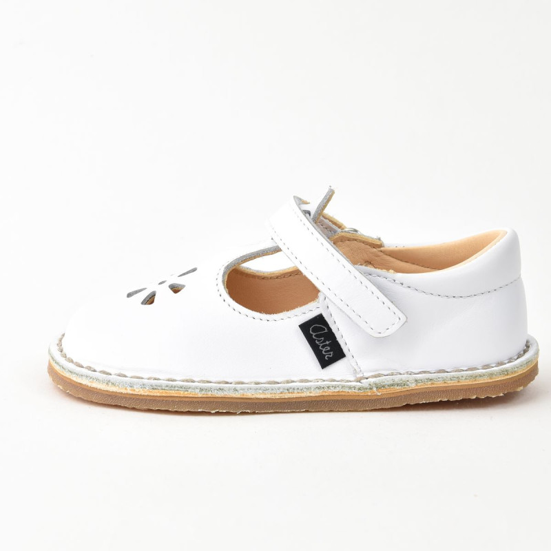 Aster Aster Petits Pas Dingo Blanc