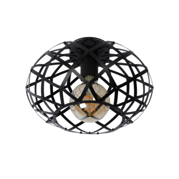 Lucide plafonnière Wolfram 40W zwart