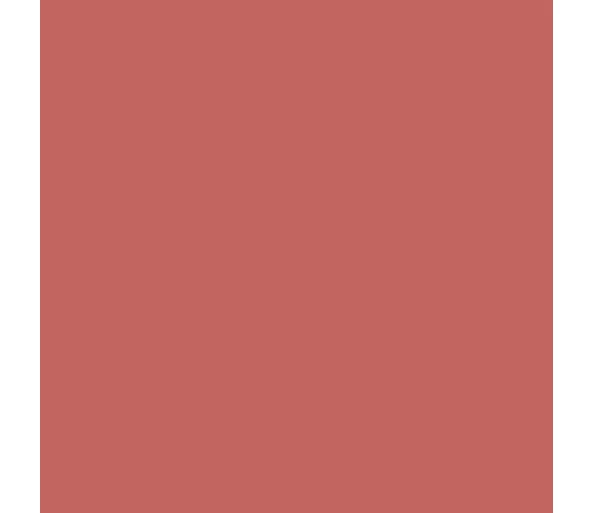 Yves Saint Laurent The Bold Nude Rouge Pur Couture16
