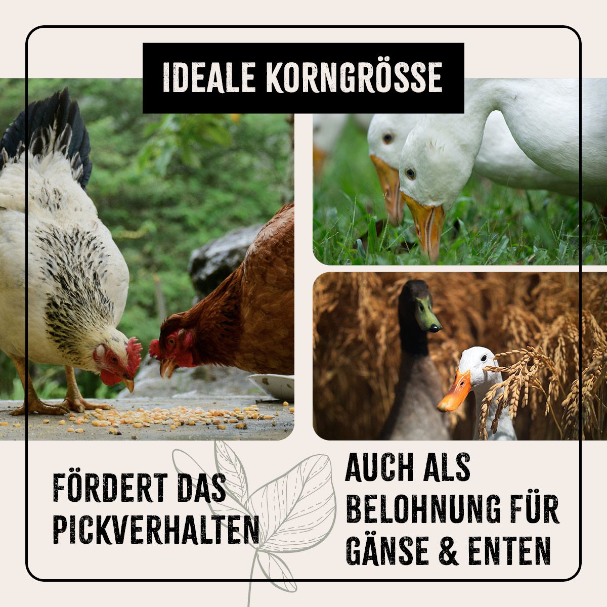 AniForte FarmLife Hühner Futter Mix