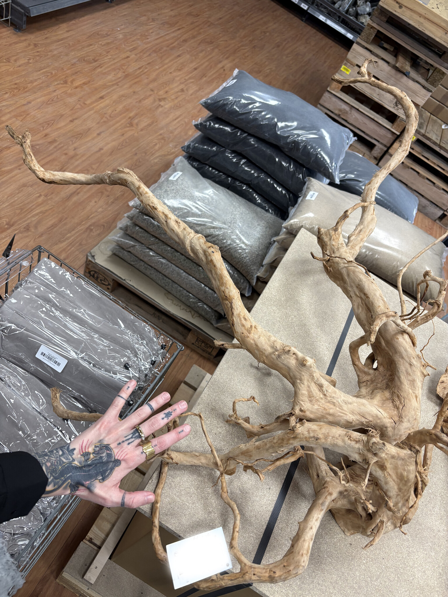 AQXL Selected Spider Wood Jumbo D