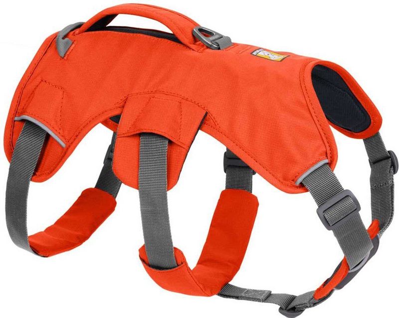 RUFFWEAR - Web Master - Hondenharnas - Oranje Blaze - Verstelbaar met Handvat