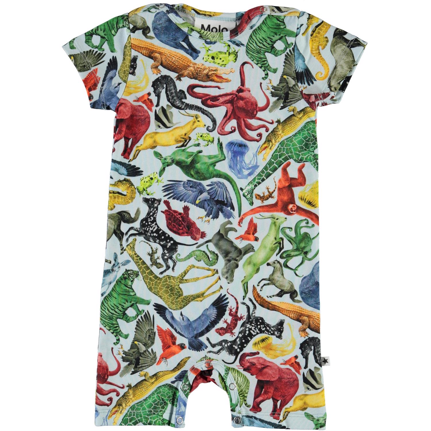 Felton - Colourful Animals