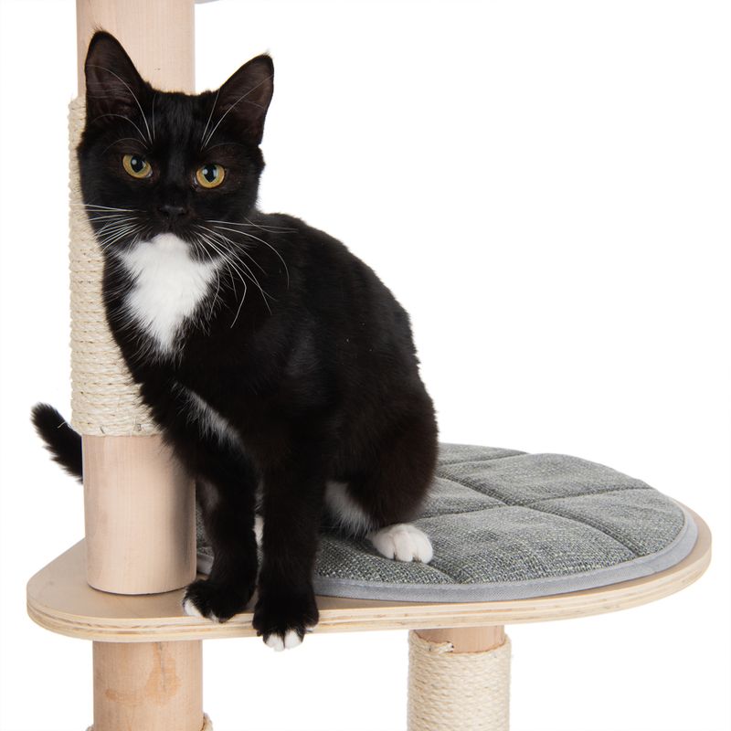 Arbre à chat Modern Living Ankara