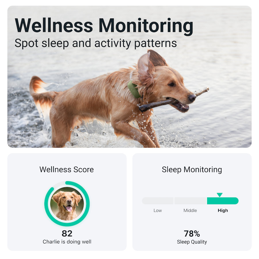 Rastreador GPS para cães Tactive XL