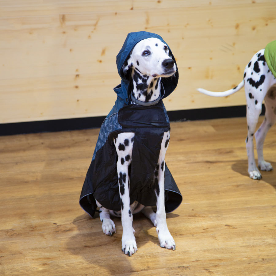 Capa de chuva para cães da Outech com estampa de ossos