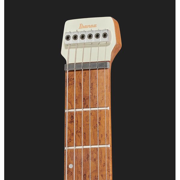 Ibanez ICHI10-VWM