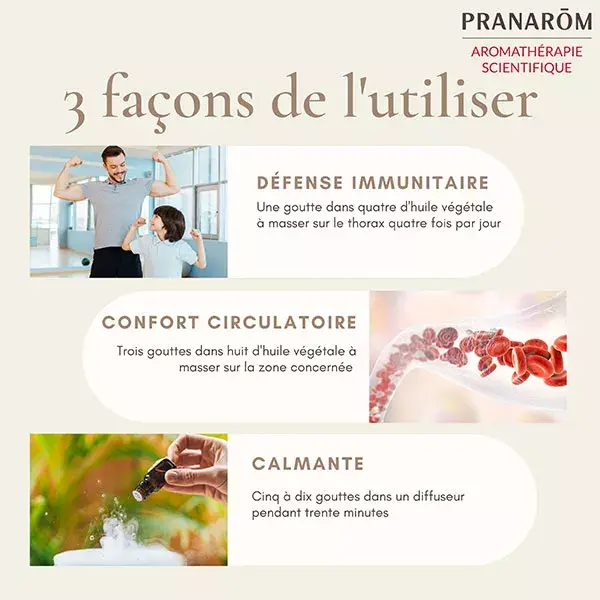 Óleo Essencial de Vetiver Pranarom 5ml