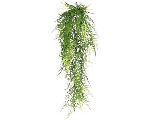 Kunstplant Asparagus Plumosus, hoogte: 80 cm, groen