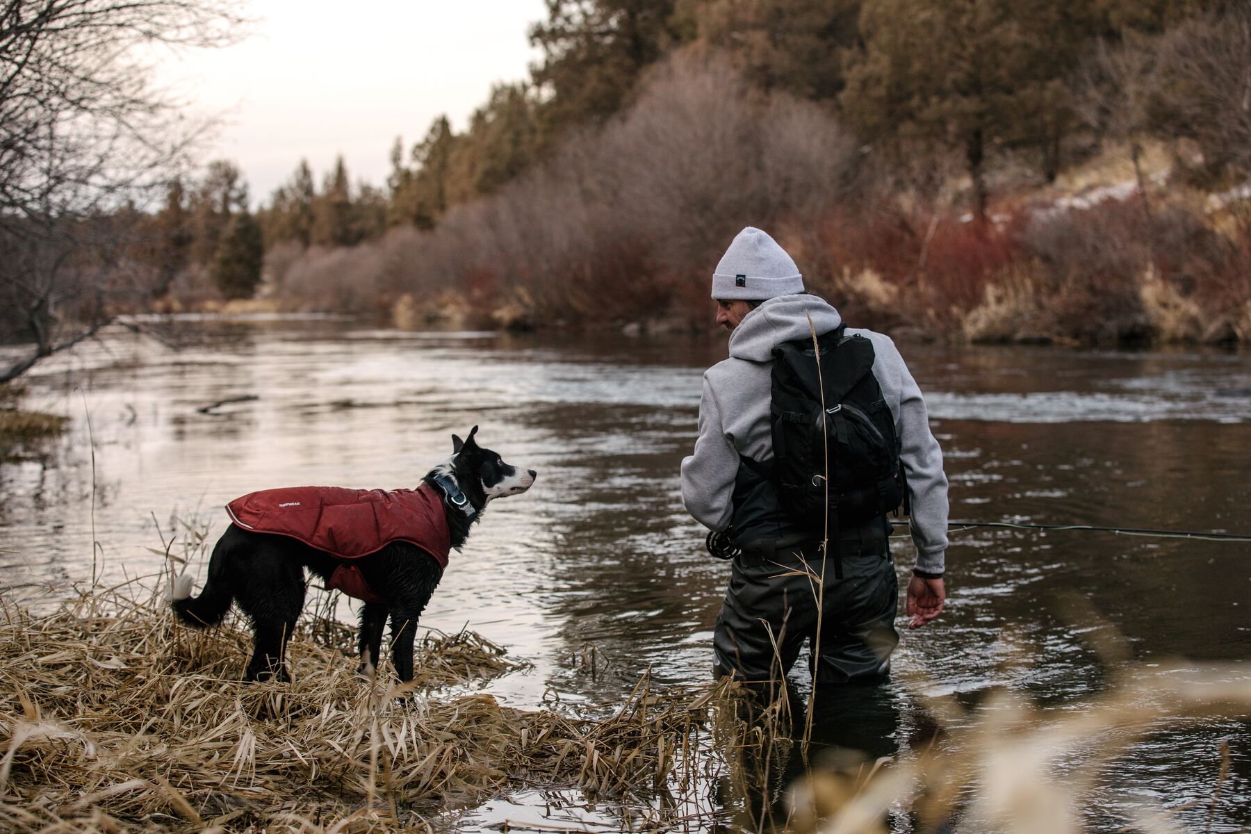 Veste d'hiver pour chien isolée quinzee™ avec passage pour laisses. Couleur: fired brick (rouge foncé), taille: xl