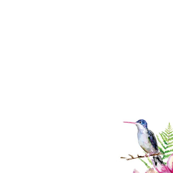 Michelle Dujardin | Verjaardagskaart | Vogel illustratie | Aanpasbare naam