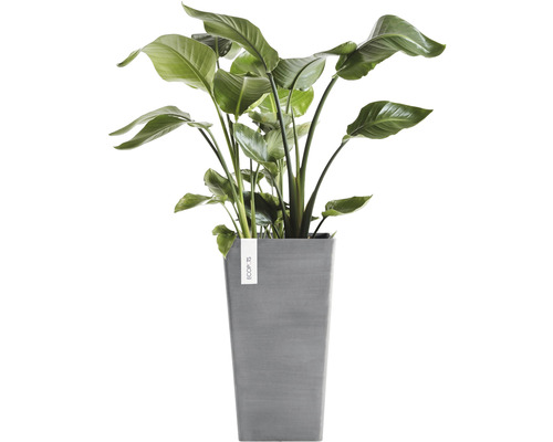 Ecopots Rotterdam plantenbak, kunststof, 31 x 31 x 56 cm, grijs