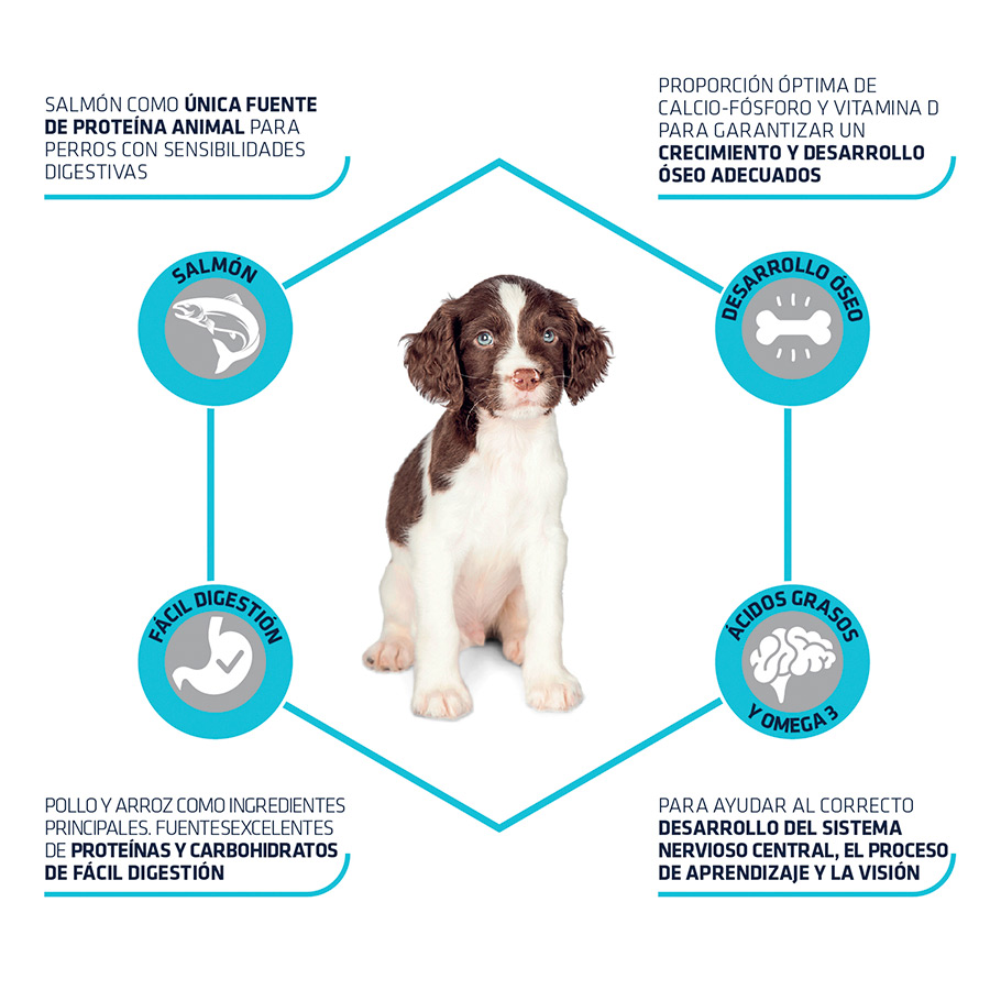 Ração para cães Advance Active Defense Puppy Sensitive Care com salmão