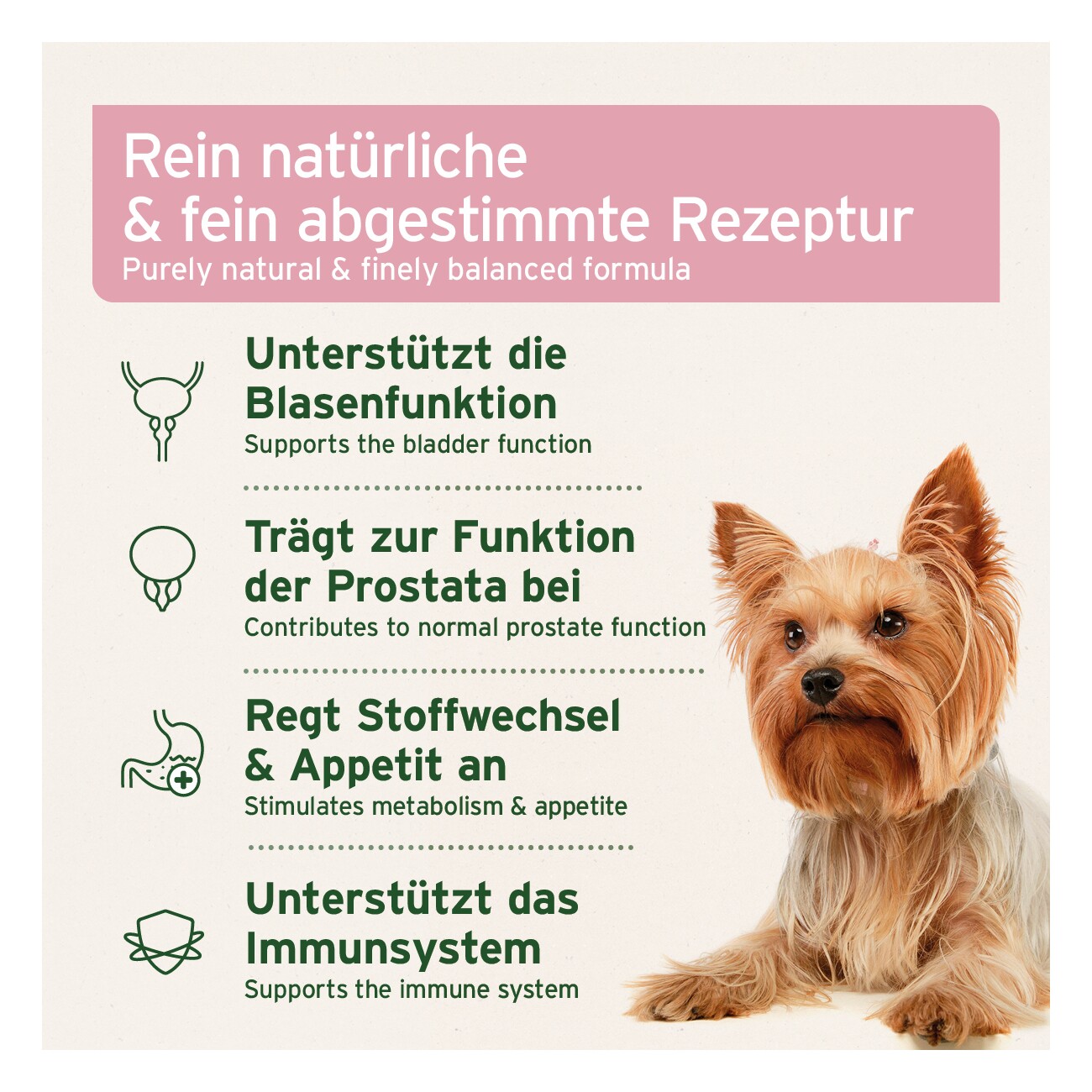 AniForte Blasen-Formel 100 g