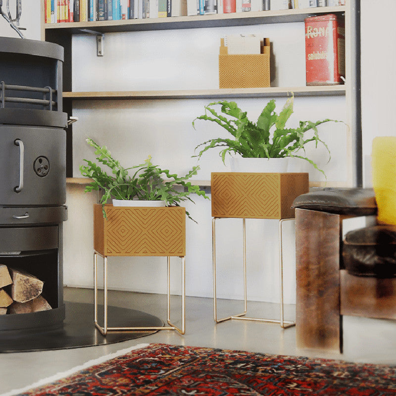 Nevi the plantbox Senfgelb, Gold S