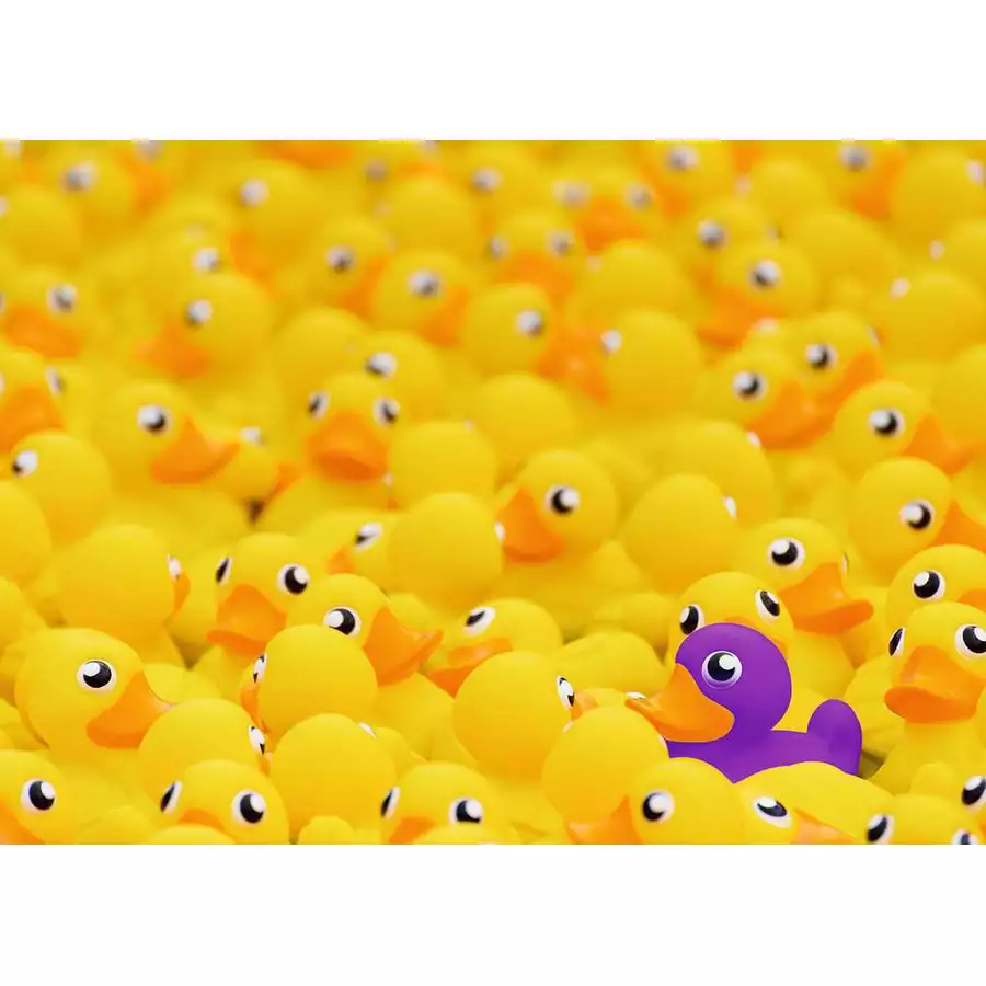 Ravensburger Quietscheenten bunt