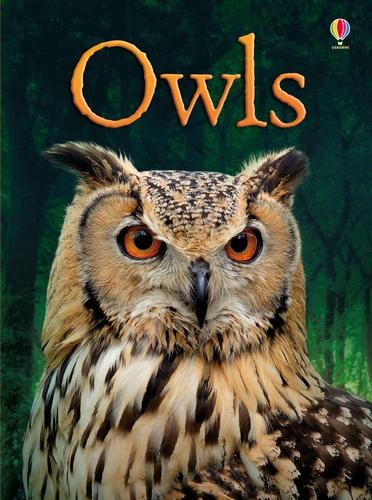 Owls - Beginners (Hardback)