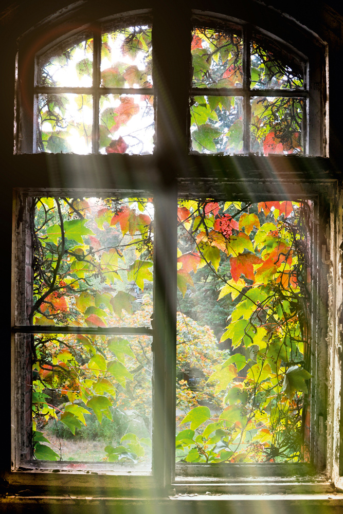Akustikbild FENSTER MIT LAUB 80x120cm, 7kg