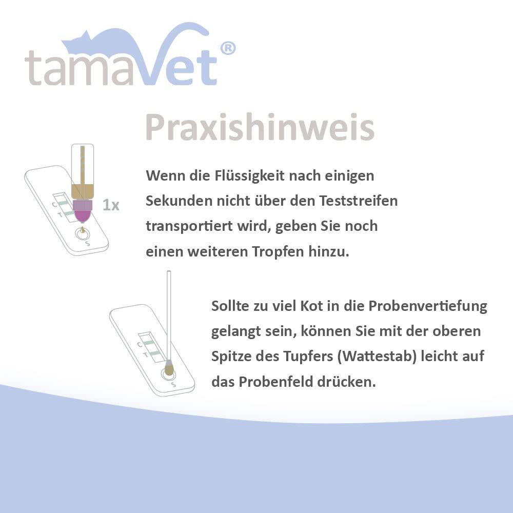 tamaVet Giardien Schnelltest für Hunde und Katzen
