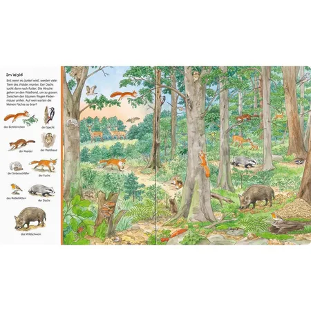 Ravensburger Mein großes Sachen suchen: Tiere der Welt