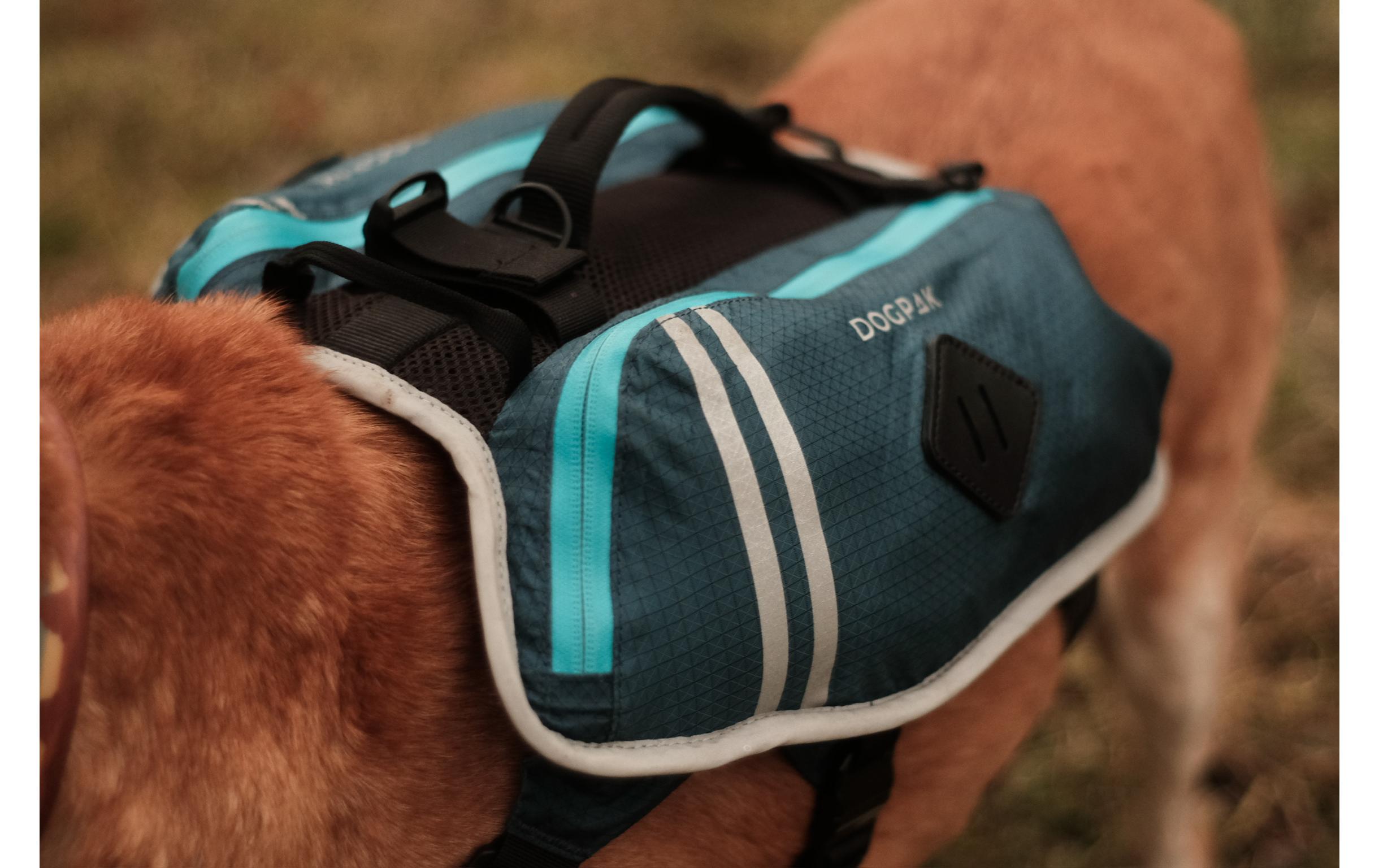 Moab Lite Hunderucksack MUltraleichter, wasserdichter Rucksack und Wandergeschirr für Hunde
