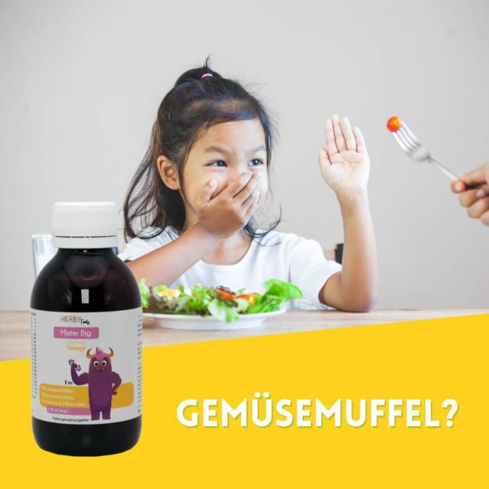 Herby Family® Mister Big Multi-Vitamine mit essentiellen Vitaminen und Spurenelementen