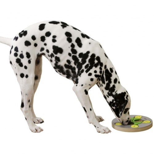 Brinquedo de interação para cães, cinza e verde.