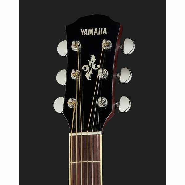 Yamaha APX 600 FM TBS