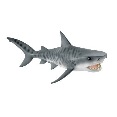 Tiger Shark