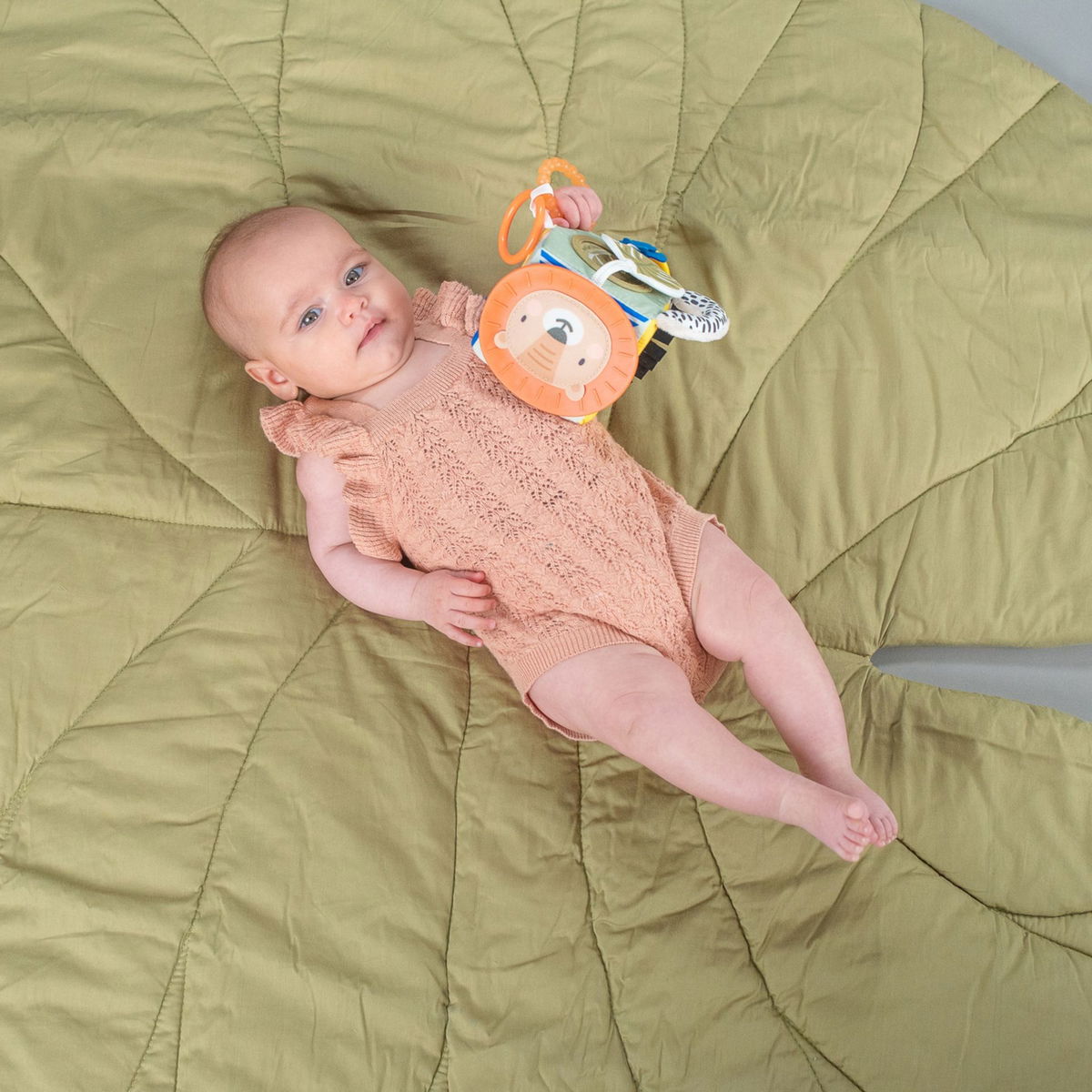 Taf ToysTaf Toys   Aktivitätenwürfel Savannah