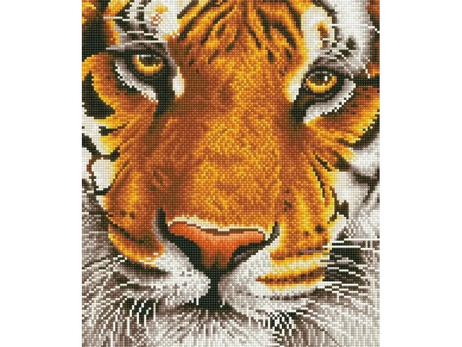 Diamond Dotz 36 x 42 cm - Bengal Løve