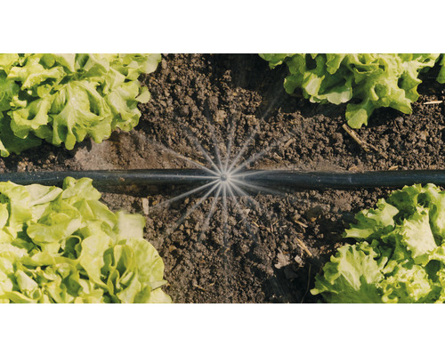 GARDENA Micro-Drip-System Sproeikop 360 graden 5 st.