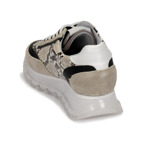 Meline - TRO1700 - Beige / Python