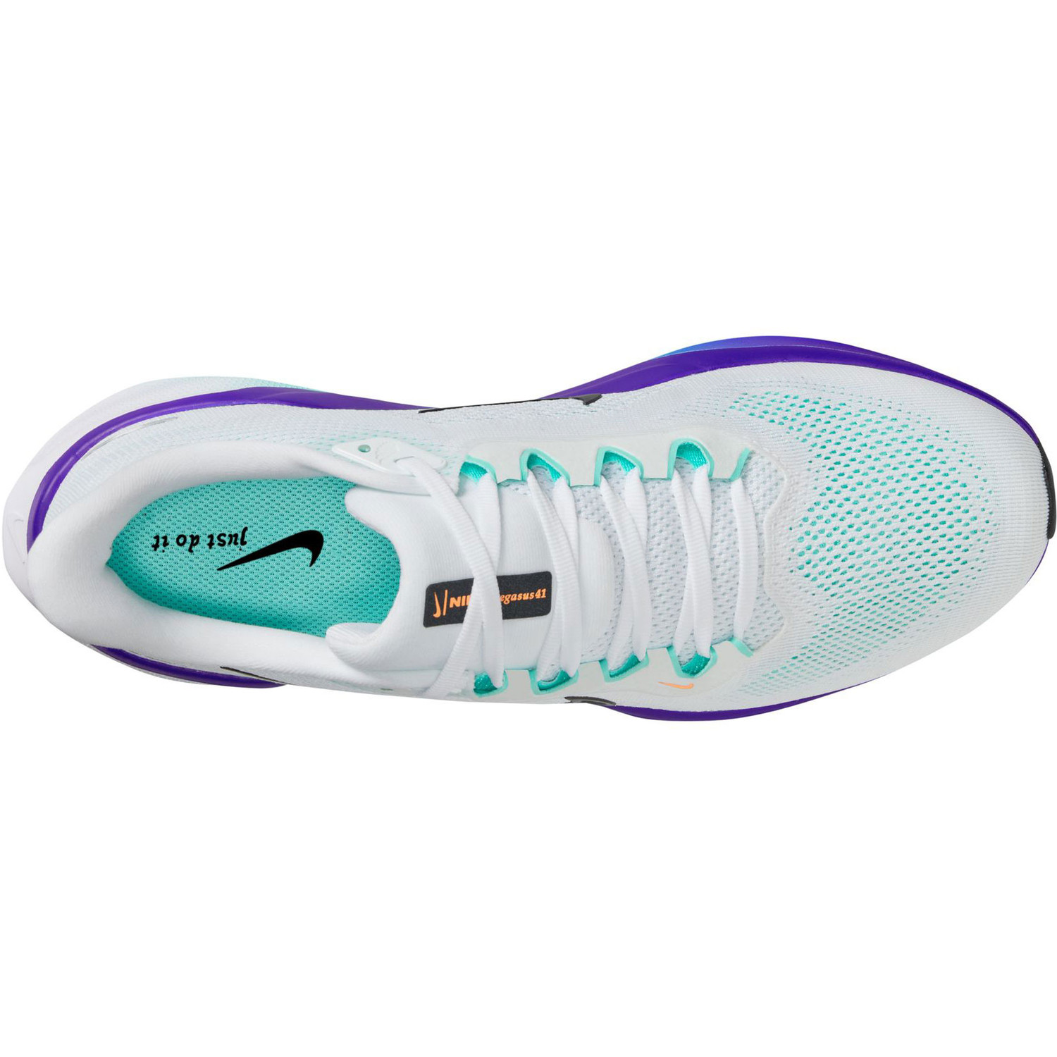 Nike Pegasus 41 Heren