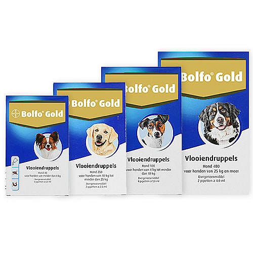 Bolfo Gold hond 40 tot 4 kg 2 pipetten