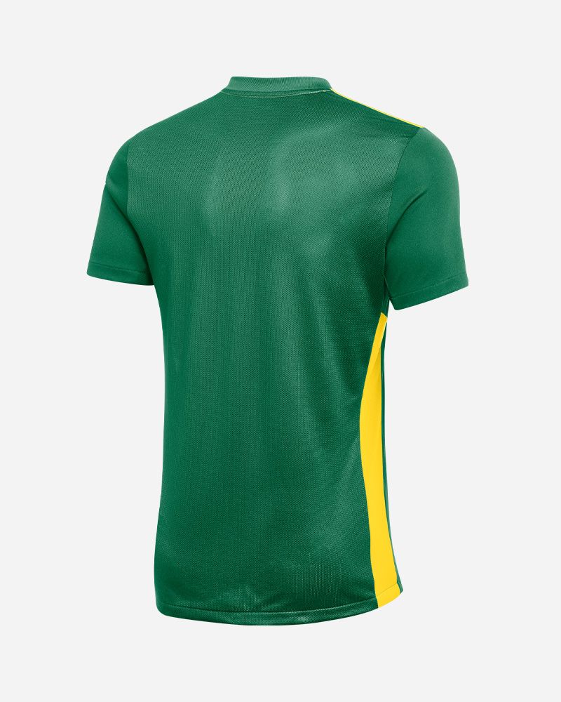 Maillot Nike Park Derby IV pour homme