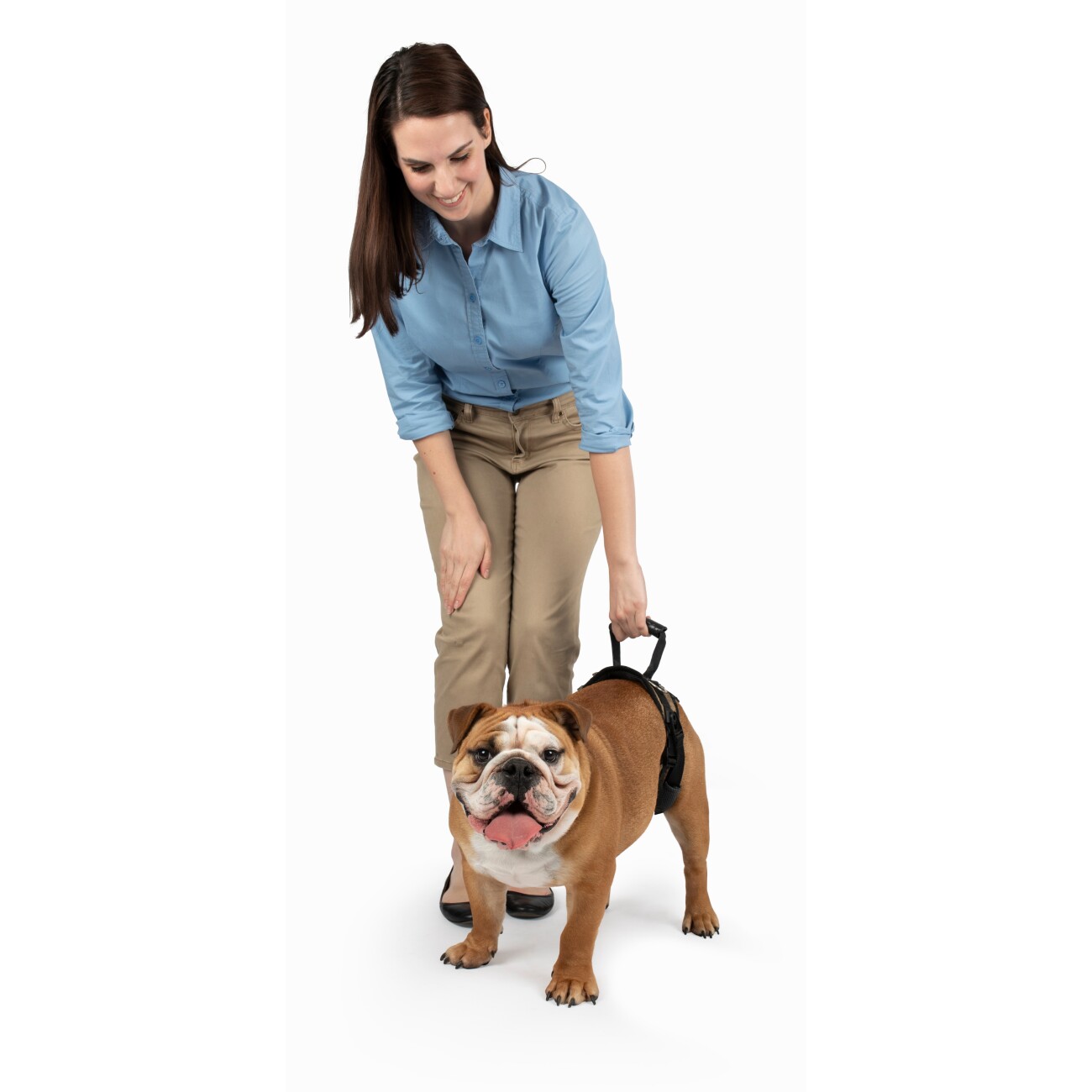 PetSafe CareLift Hüft-Hebegeschirr für Hunde