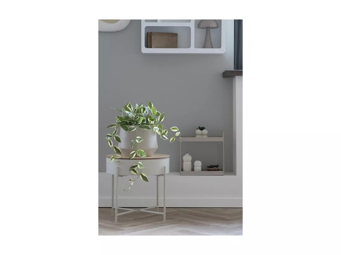 Plante artificielle Hoya Carnosa fleur de porcelaine verte 33 cm