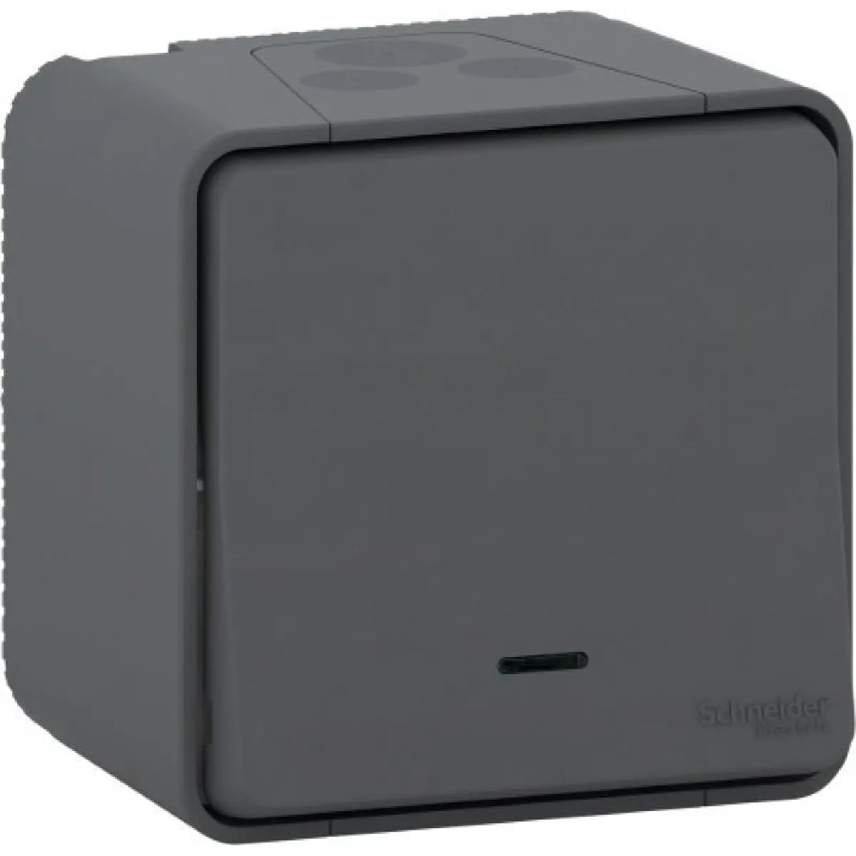 Schneider Electric Mureva Styl