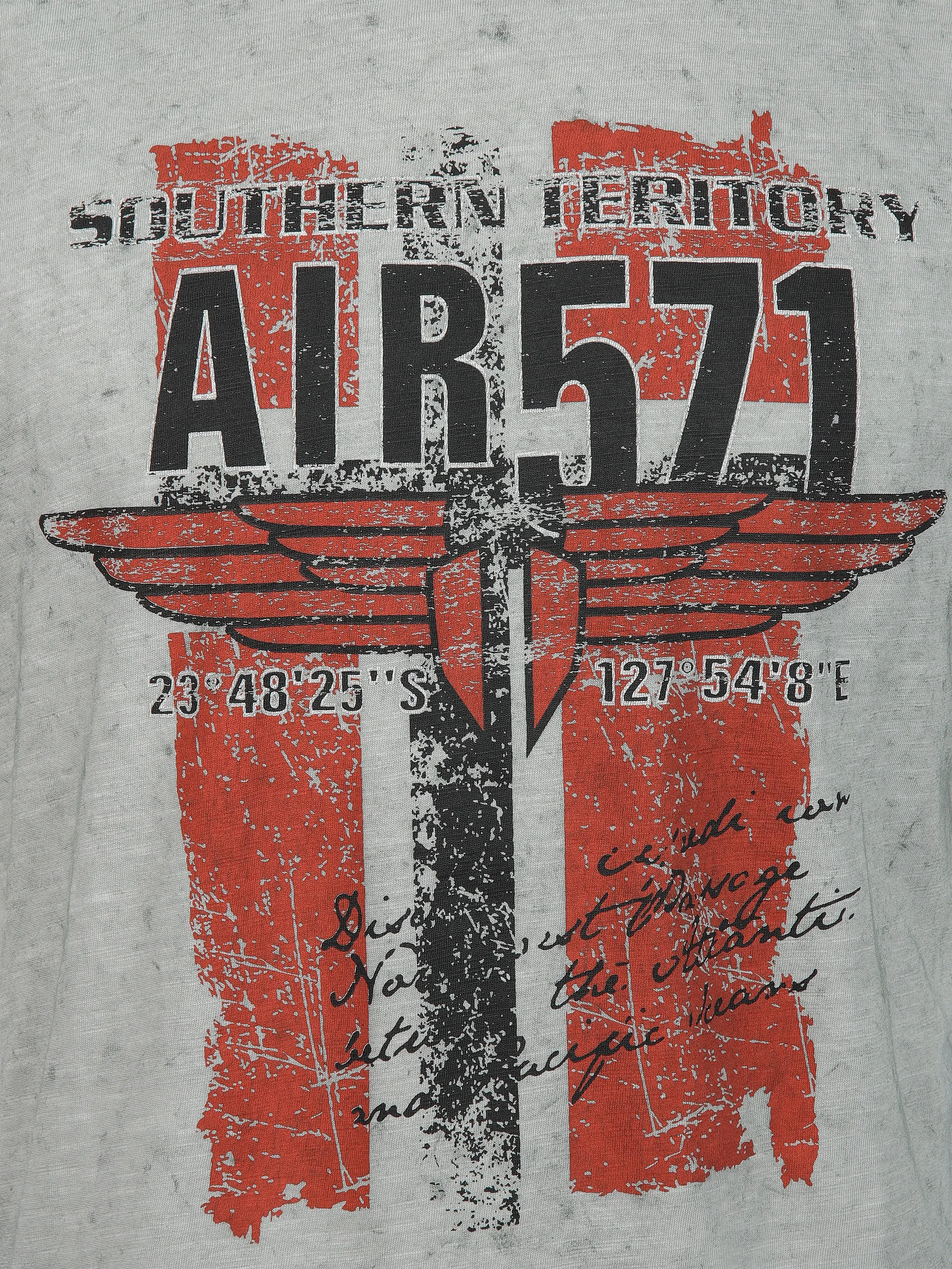 Herren T-Shirt mit Print in Used Optik