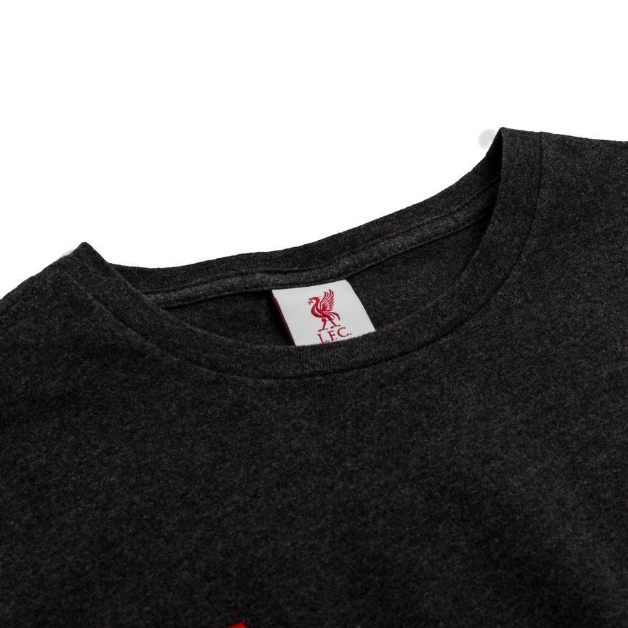 Liverpool T-Shirt Norvège Drapeau - Gris