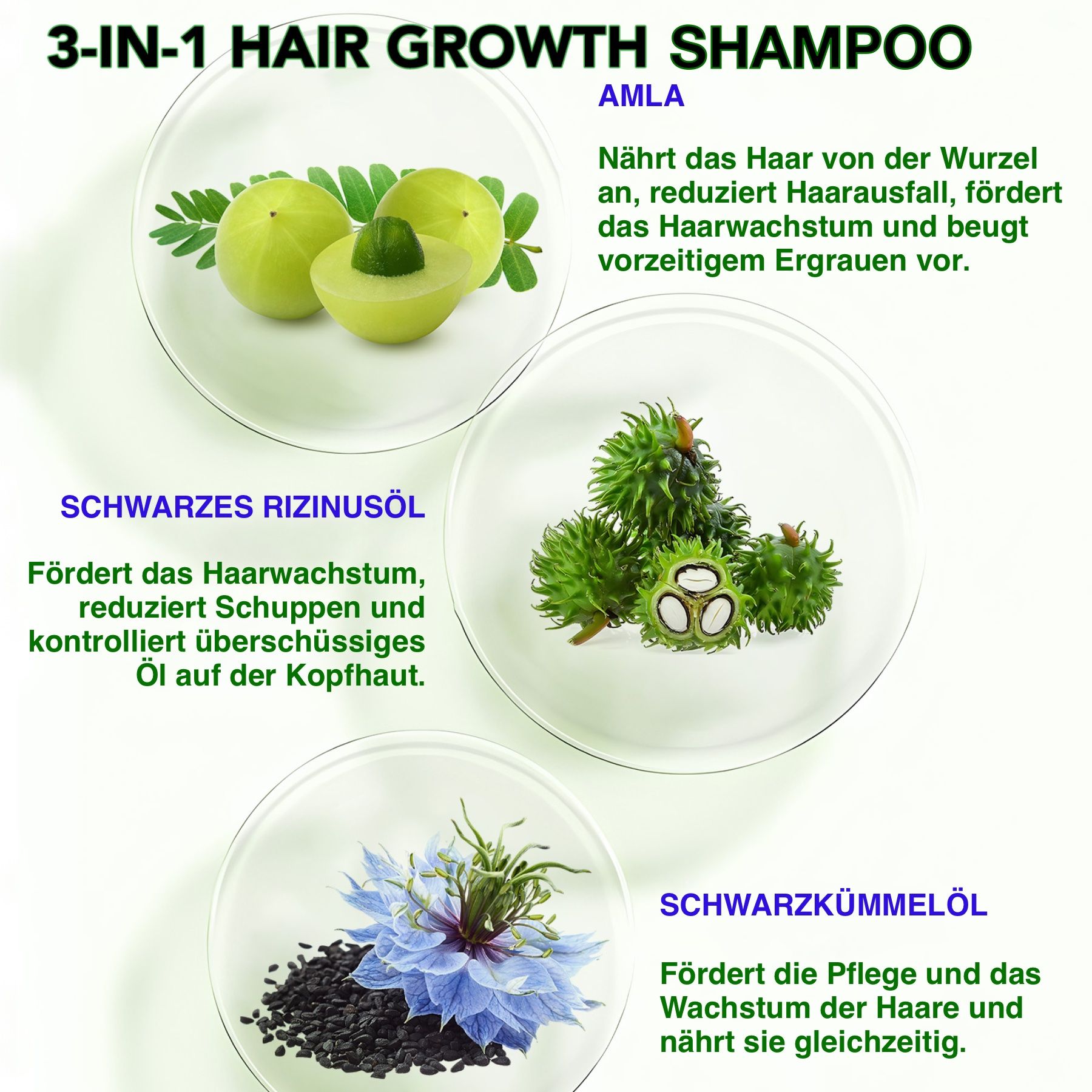 ALIVER 3-in-1 Rizinusöl Amlaöl Schwarzkümmelöl Haarshampoo